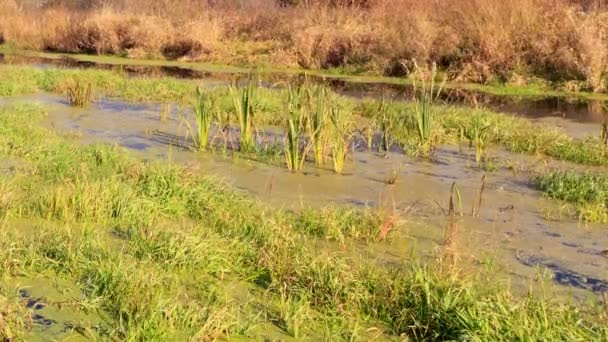 Rivière submergée. Délai imparti 