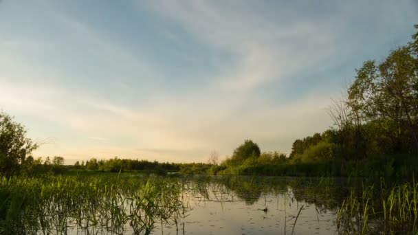 Sunset reflected in river — Stock Video