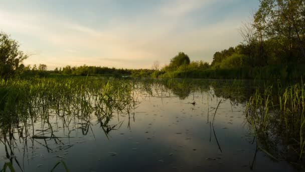Захід сонця, відображений у річці — стокове відео