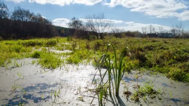 River swamped. Time Lapse — Stock Video