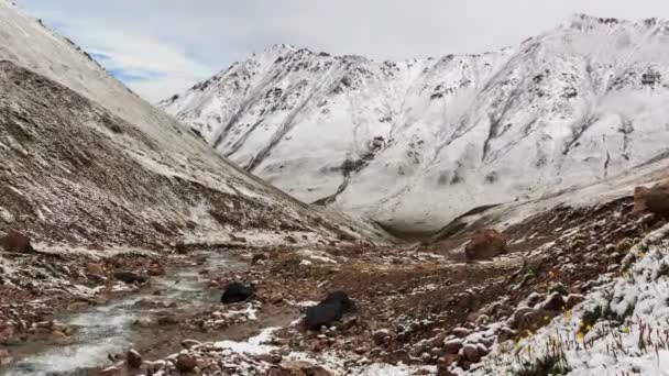 Snön smälter i bergen. tidsinställd — Stockvideo