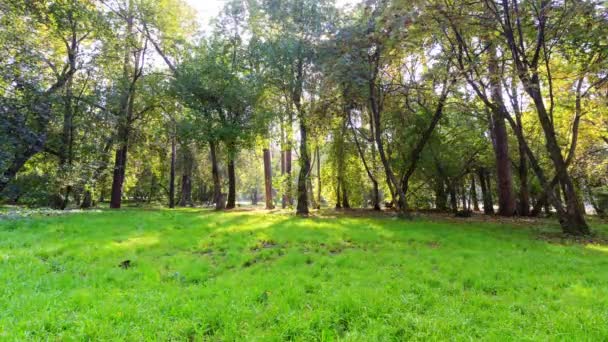 Día soleado en el parque. Tiempo de caducidad — Vídeo de stock