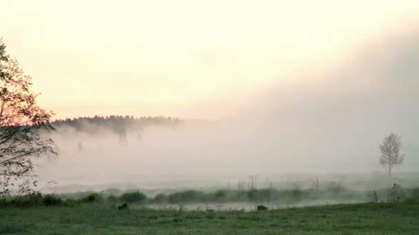 Brouillard sur l'eau. Délai imparti 
