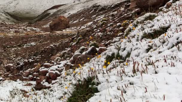 La nieve se derrite en las montañas. Tiempo de caducidad — Vídeos de Stock