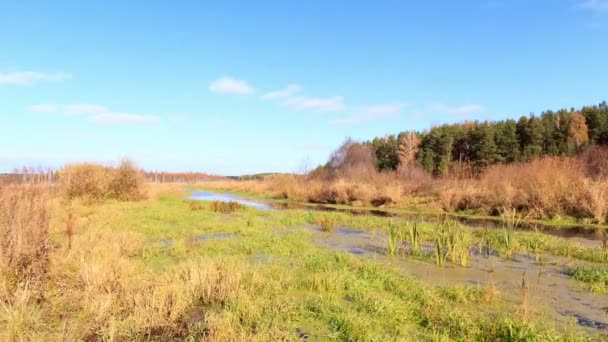 Rivier overspoeld. time-lapse — Stockvideo