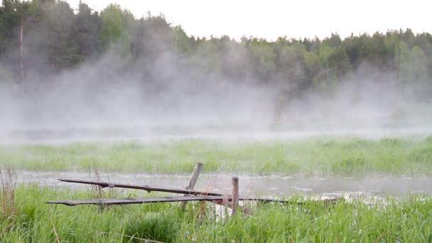 Dimma över vatten. tidsinställd — Stockvideo