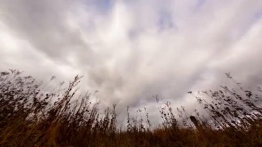 Bulutların üzerinde kuru ot
