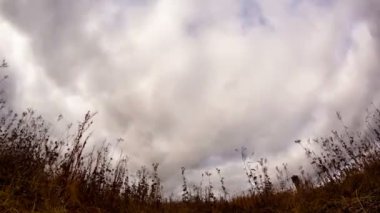 Bulutların üzerinde kuru ot