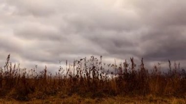 Bulutların üzerinde kuru ot