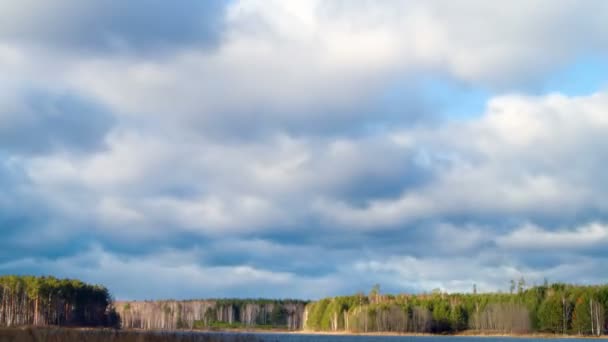 Rain clouds over the pond — Stock Video