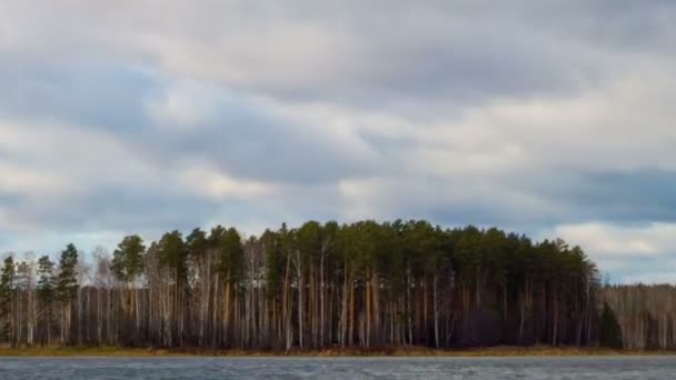 Regenwolken boven de vijver — Stockvideo