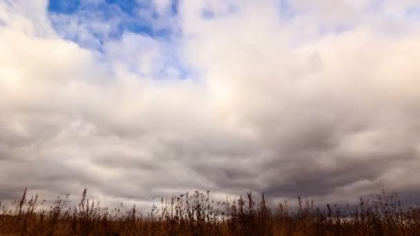 Облака над сухой травой — стоковое видео