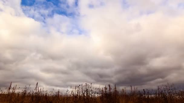 Nuvens sobre grama seca — Vídeo de Stock