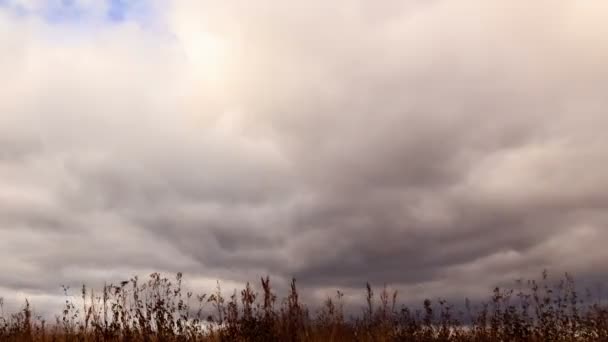 乾草上空的云 — 图库视频影像