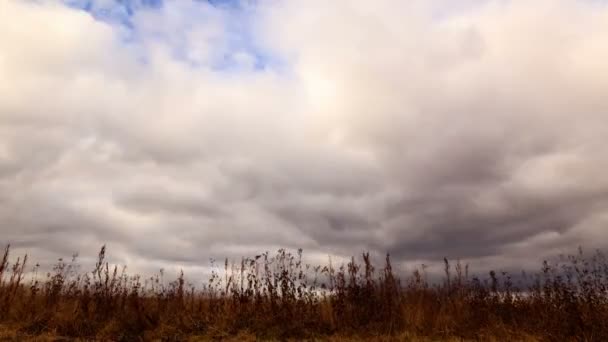Wolken über trockenem Gras — Stockvideo