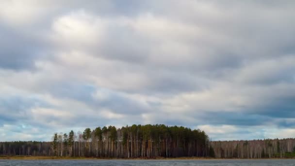 Regenwolken boven de vijver — Stockvideo