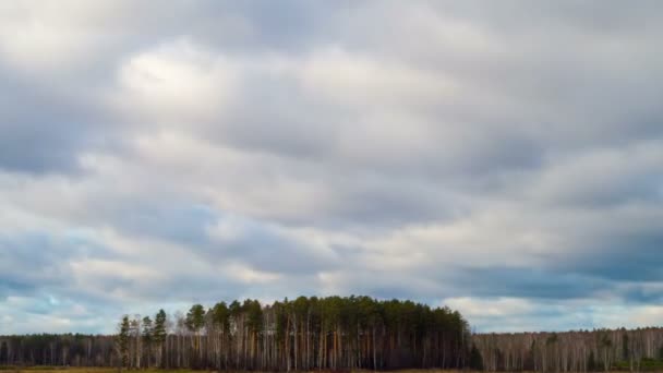 Nubes de lluvia sobre el estanque — Vídeo de stock