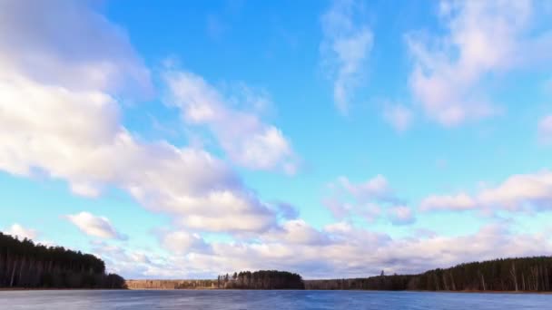 Regenwolken boven de vijver — Stockvideo