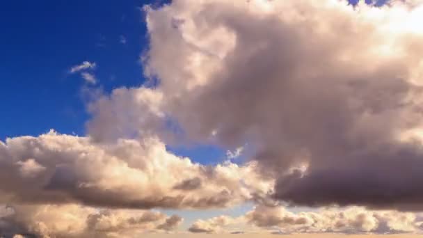 En las nubes . — Vídeo de stock