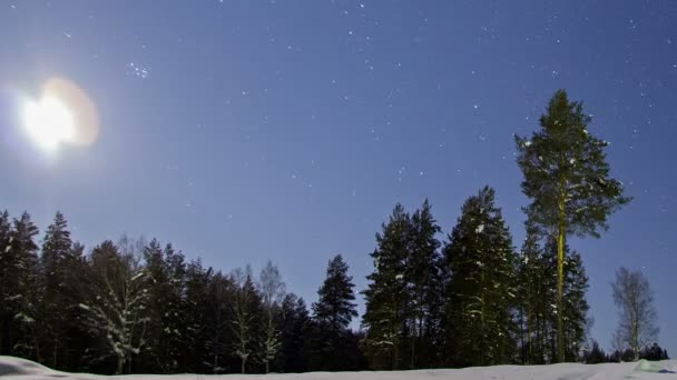 冬季景观 — 图库视频影像
