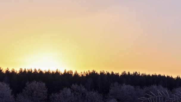 Salida del sol de invierno — Vídeo de stock