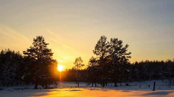 Winter sunset — Stock Video