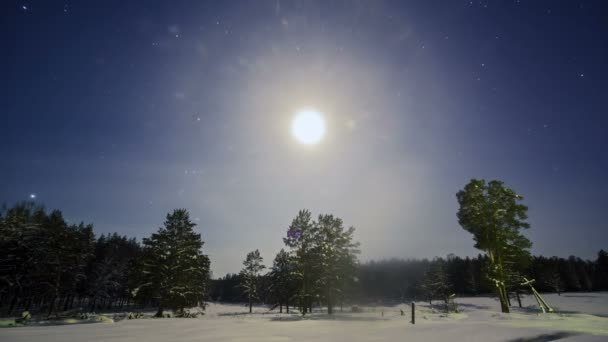 Moonlight in winter sky — Stock Video