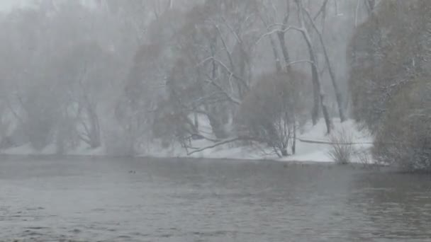 Banco del fiume nella neve — Video Stock