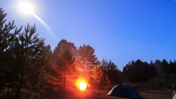 Táborák v noci. — Stock video