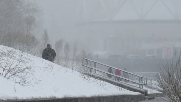 Люди в зимнюю погоду — стоковое видео