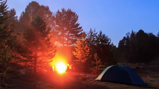 Gece kamp ateşi. — Stok video