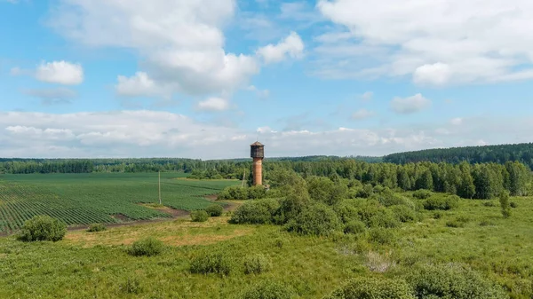 Rusia Ural Volando Sobre Los Campos Filas Papas Crecimiento Antigua — Foto de Stock