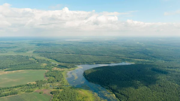 Rusya, Ural. Tarlalar ve ormanlar üzerinde kalkış. Bataklık göleti. Yerdeki gölgeler, Hava Görüntüsü  