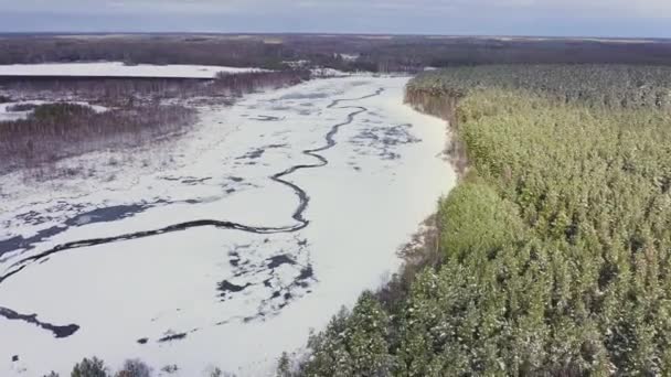 Lahan basah dengan sungai kecil yang tertutup salju. Salju di pohon. 4K — Stok Video
