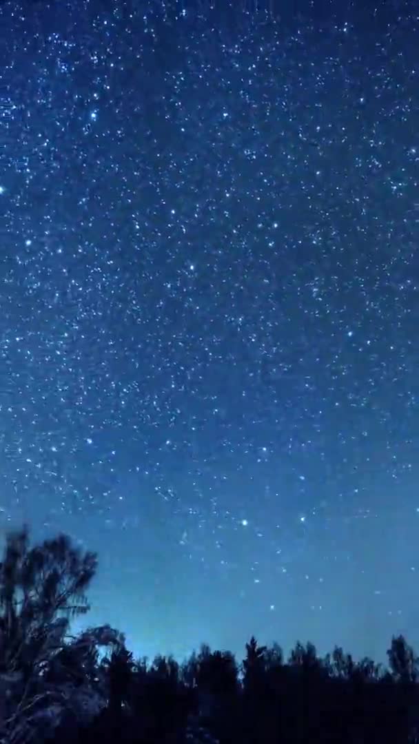As estrelas giram em torno de uma estrela polar no fundo da floresta. 4K — Vídeo de Stock