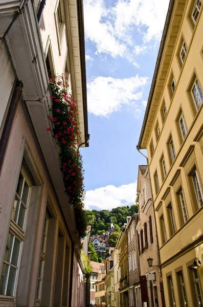 Heidelberg Německo — Stock fotografie