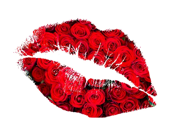 Kysst av en ros — Stockfoto