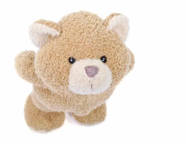 Urso de peluche olhando para cima — Fotografia de Stock