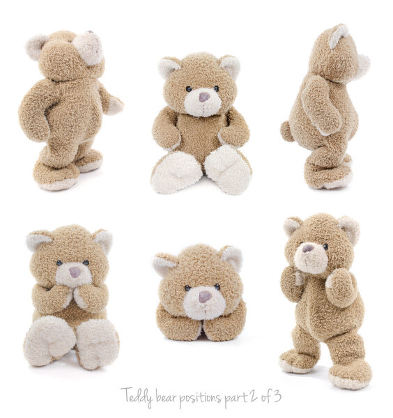set of teddy bear positions