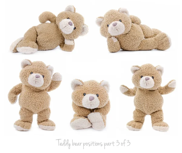 Set of teddy bear positions — Stock Photo, Image