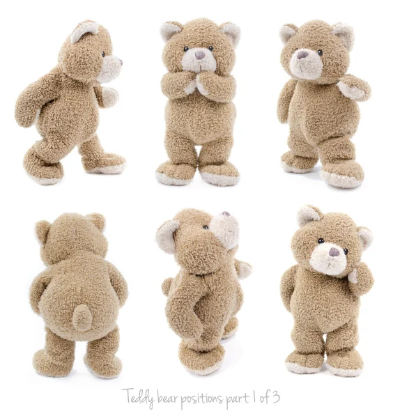 Isolated teddy bear in different positions or emotions — Stock Photo, Image