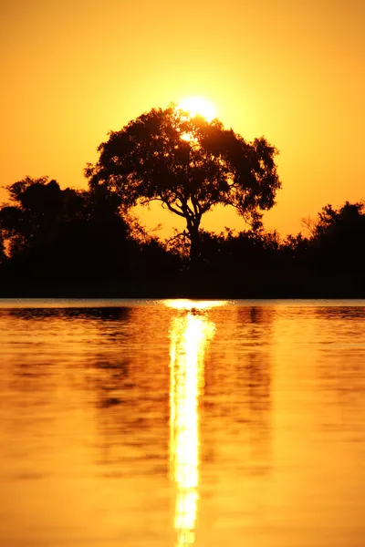 Αφρικανικό ηλιοβασίλεμα σαφάρι σαβάνα — Φωτογραφία Αρχείου