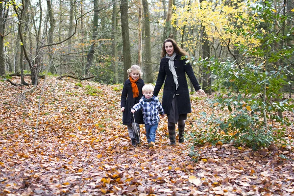 Children playing in forest — Stock Photo, Image