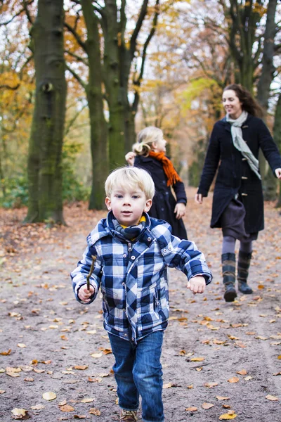 Niños jugando en el bosque —  Fotos de Stock