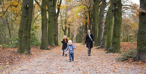 Niños jugando en el bosque — Foto de Stock