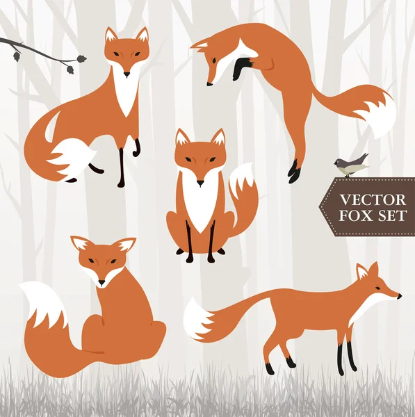 Different fox drawings — Stock Vector