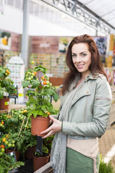 Woman shopping in grading center — Stock Photo, Image