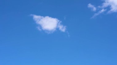 Yalnız Kiraz Çiçeği ilkbahar güneşli bir günde ve açık mavi gökyüzünde. Yeşil çayırlarda duran yalnız bir pembe ağaç. Arka planda karla kaplı dağlar, kırsal alanda güzel bir manzara.