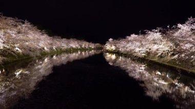 Hirosaki Park kiraz ağaçları matsuri festivali baharda gece ışıldar. Güzellik tam pembe sakura çiçekleri batıdaki hendekte ışık saçıyor. Aomori Bölgesi, Tohoku Bölgesi, Japonya