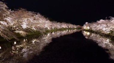 Hirosaki Park kiraz ağaçları matsuri festivali baharda gece ışıldar. Güzellik tam pembe sakura çiçekleri batıdaki hendekte ışık saçıyor. Aomori Bölgesi, Tohoku Bölgesi, Japonya